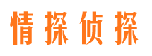 正阳侦探